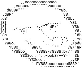 An image of a pixelated, stupid looking facce. Almost as stupid as you
